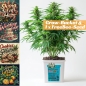 Preview: Grow Bucket super Soil mineralic